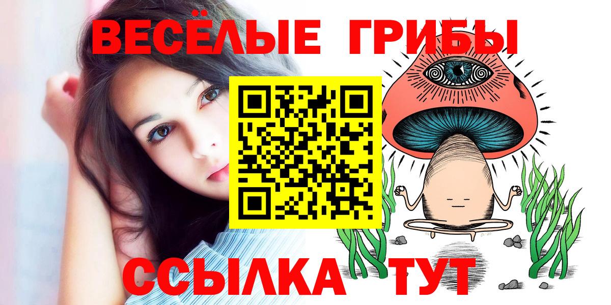 Галлюциногенные грибы Psilocybine cubensis  Вход с VPN  Когалым 