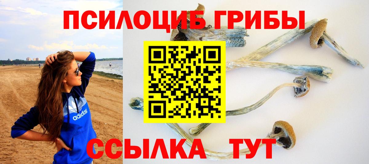 Псилоцибиновые грибы GOLDEN TEACHER Когалым